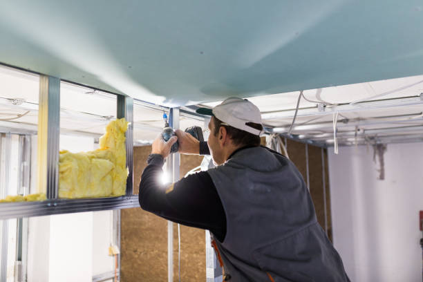 Best Residential Insulation in Pukalani, HI