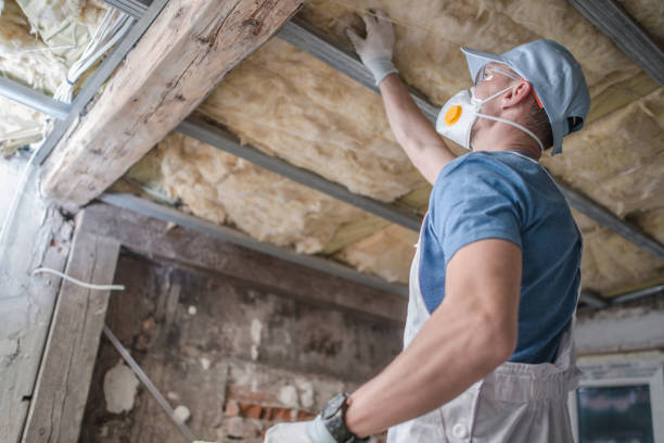 Best Insulation for Specific Applications in Pukalani, HI